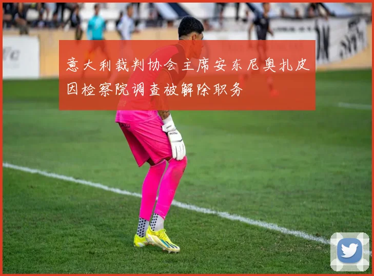意大利裁判协会主席安东尼奥扎皮因检察院调查被解除职务