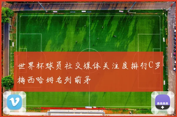 世界杯球员社交媒体关注度排行C罗梅西哈姆名列前茅